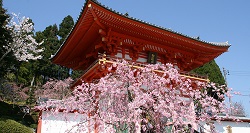 播州清水寺(ばんしゅうきよみずでら)