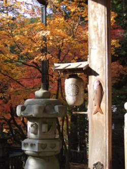 華厳寺(けごんじ)