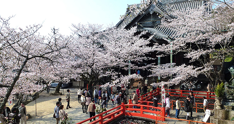金剛宝寺(こんごうほうじ)