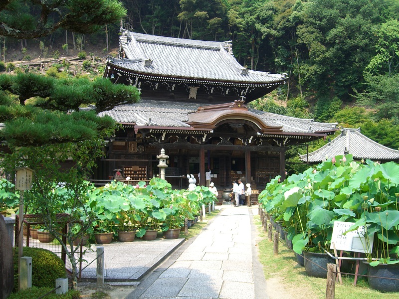 三室戸寺(みむろとじ)