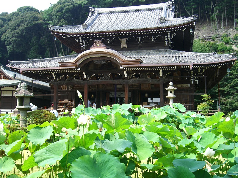 三室戸寺