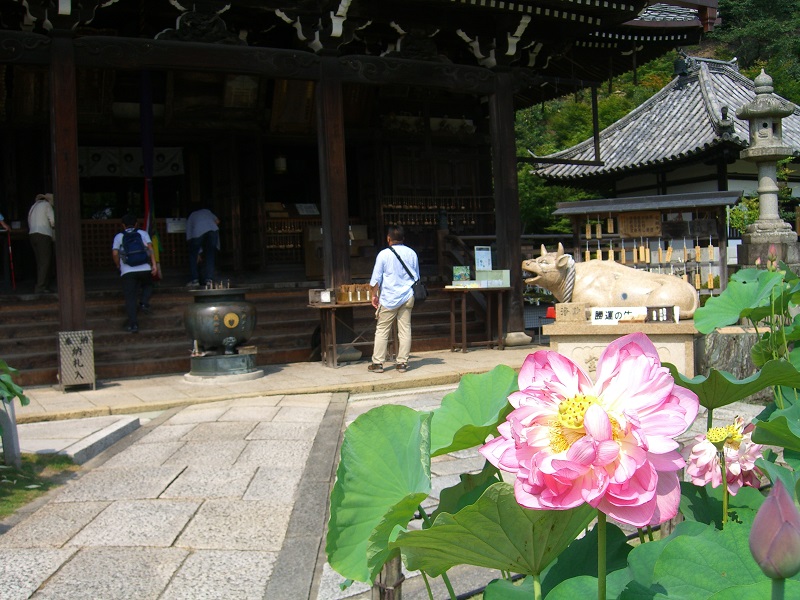 三室戸寺