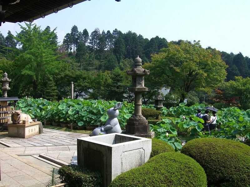 三室戸寺