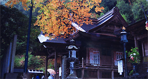 神峯寺(こうのみねじ)