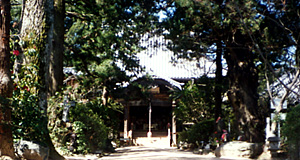 浄瑠璃寺(じょうるりじ)