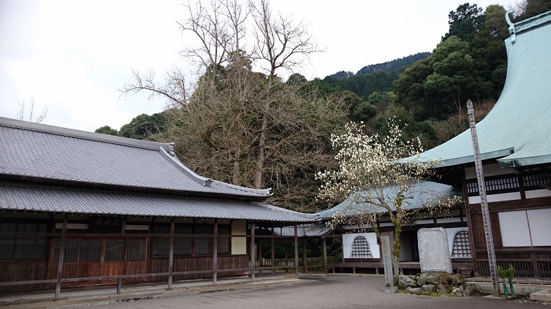 瑞應寺
